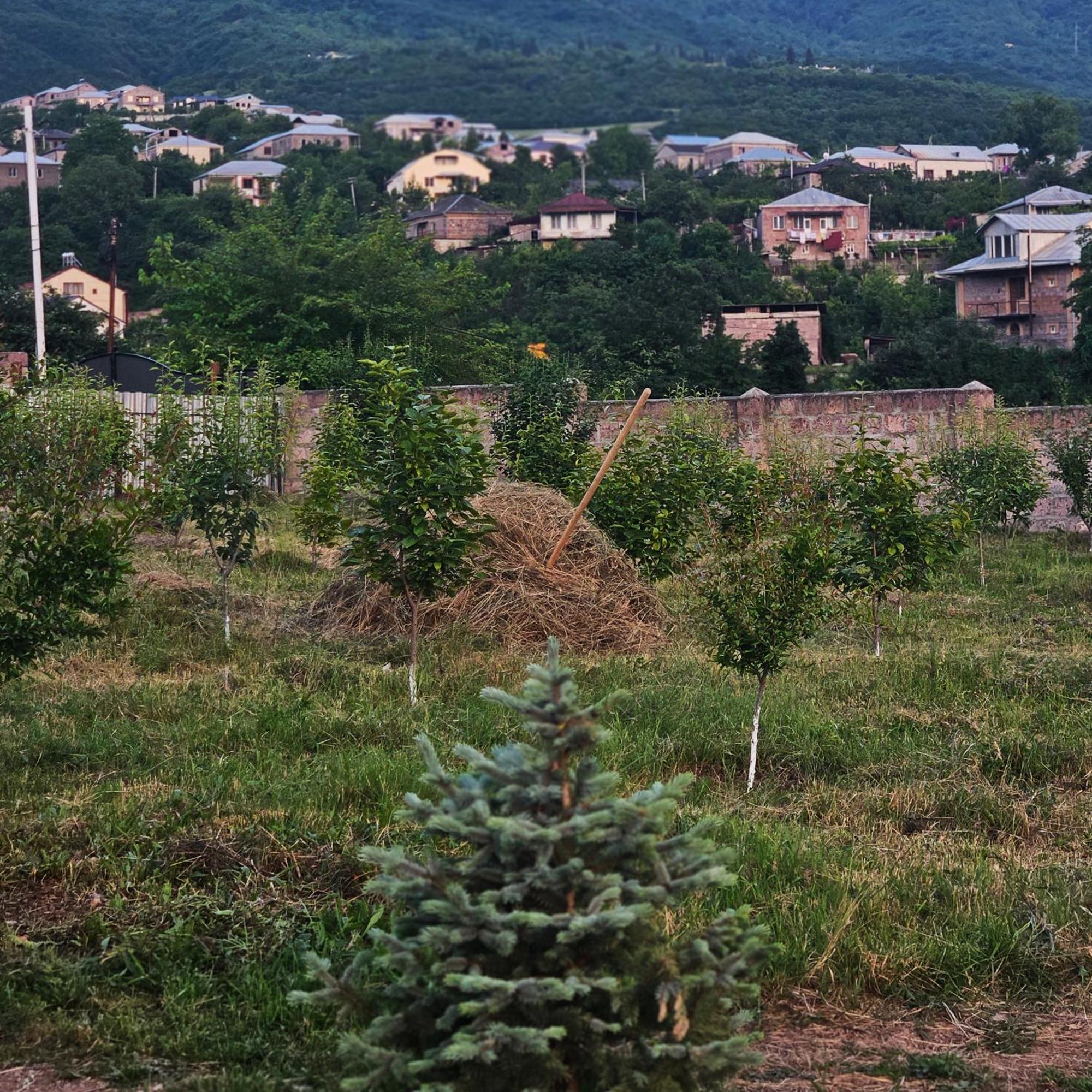 Alpha Rest House Ijevan Exterior photo